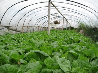 �߲�ʩ��ע�����(xi��ng)