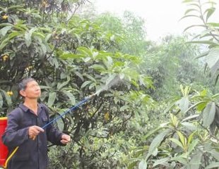 ����ʩ�ʼ��g