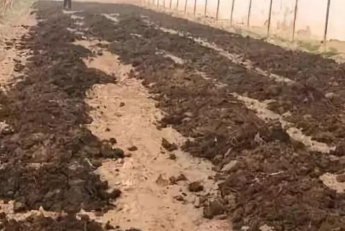 �u�S��ɣ�����Ʒ�ЙC�ʲ�ࣿ�����ܣ�����