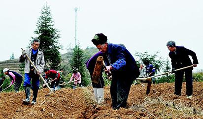 �P(gu��n)���Ͳ˵׷ʣ���֪�����٣��Ͳ˵׷�ʩ��Ҫ�c(di��n)