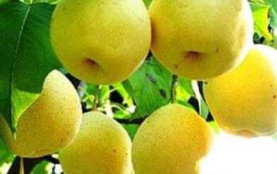 ���@ʩ������`�^