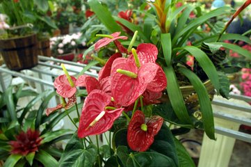 ���Ό��õĻ���ʩ�ʷ���