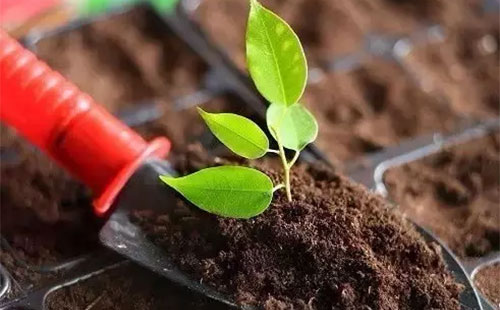 ΢����������ЙC�ʃ�������Щ����l����һЩ�أ�