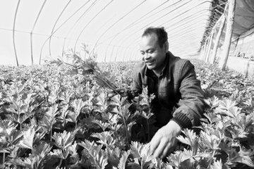 ��������׷�ʼ��g��B