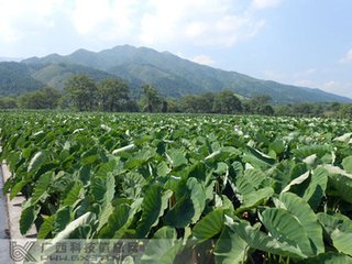 ������ʩ�ʼ��g