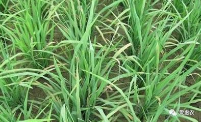 ˮ��ʩ��⛷ʵķ���