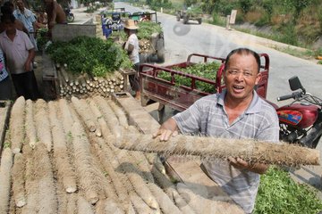 ɽˎ��������c��ʩ�ʼ��g