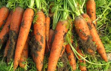 ���}���߮a���@����}���߮aʩ�ʼ��g