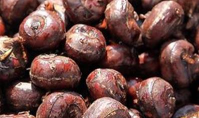 ݩ�j��ôʩ�ʣ�ݩ�jʩ�ʼ���