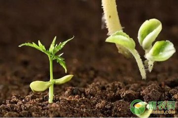 ������r����ֹʹ�þ���