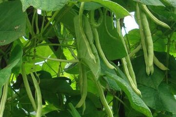 ����ʩ�ʺ��ļ��g