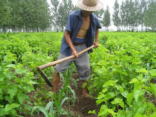 �߲�����Α��ø�Ч�ЙC��