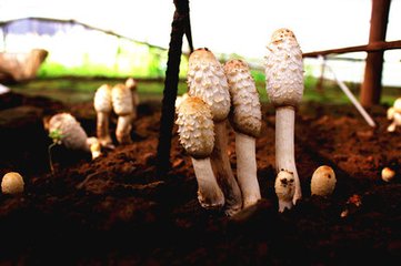 �ݸ��������Ը�ľ�Խն�����δ����ɸ�����������