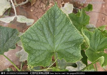 �S�ϡ�肽�߅����ԭ����ʩ�ʵĆ��}