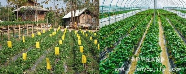 �Nֲ�G���ܸ��������᣿