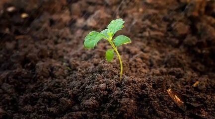 ���������׳���զ�k