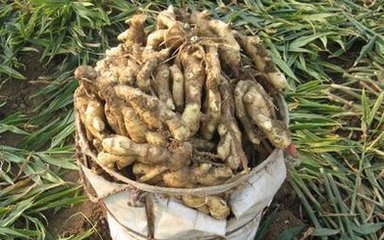 �󽪵�������c�Լ����aʩ�ʼ��g���r�g��