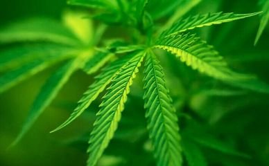 �����m�ǌ�����ҲҪ�������غ���ʩ��