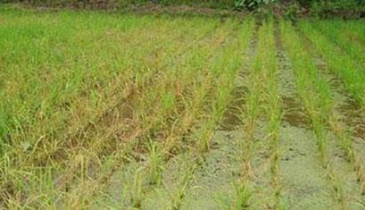 ˮ���������ʺ����}���gҪ�c