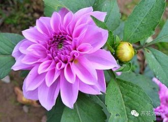 �߷N����ʩ�ʷ���