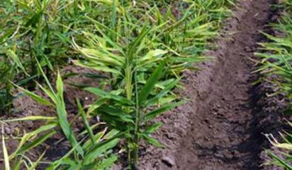 �V�����ʲô���ã��V��ʵĹ������c