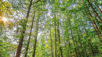 ˮ�ܷʃr��ߵ͑��⣬6000��20000��e�����