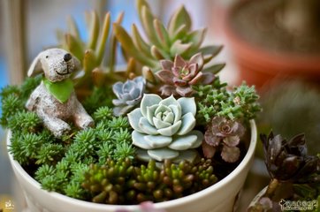 ����ʩ�ʑ�(y��ng)ԓ����x��