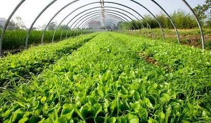 �_ʩ���l�����Q�ć��غ��