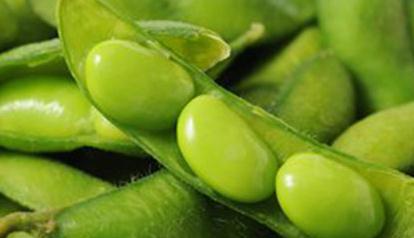 ��������ôʩ�ʣ�������ʩ�ʷ���