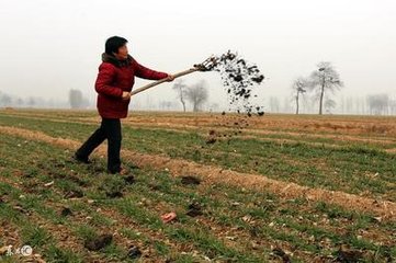 ��Μp���r�ҷ��B����ʧ