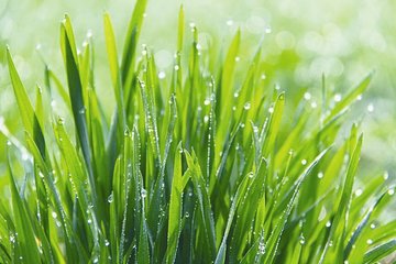 ���������J�Rˮ�ܷ�