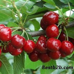 ������ʩ�ʼ���