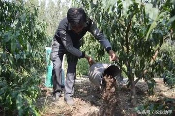 ����ʺ����δ�ʩ