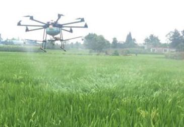 �rˎ���������S����rˎ���ϻ��Ҫ�c