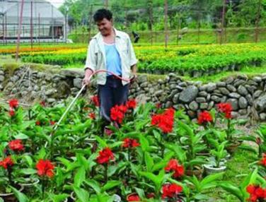 ����ʩ����Ҫע��ʲô������ʩ�ʰ��ע��Ҫ�c