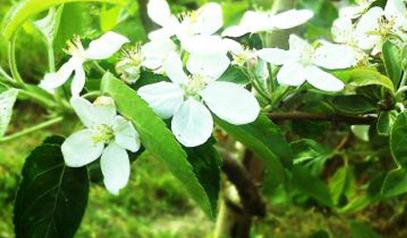 �@�������ص����_ʹ�÷��������ص��ķN����;