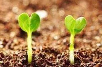 �����r(n��ng)ˎ���[�����ӡ����}��