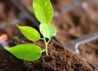 ���������G���c�������ʩ