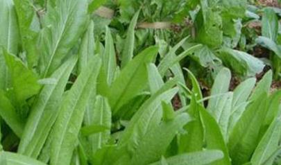 ���ӷN����������������ʩ�ʼ��g(sh��)���P(gu��n)�I