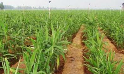 ����������ˣ��������ƽ��ʩ����