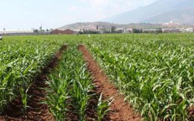 ��ʩ��⛷ʵķ������᣿⛷�ʩ����ע��ʲô��