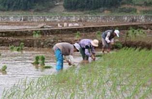 ���ϠI�B����ʧ�������߷���ʩ���^���еķ�Ч��