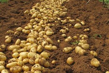 �@Щ������ô�x����ô�N���ܸ߮a���r�I�r�岿�����Nֲ�������ˣ�