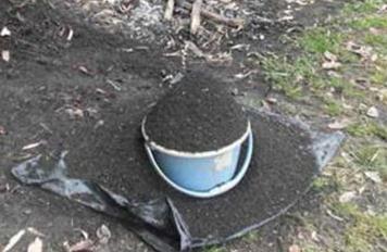 ��ľ�ҵ�������ʲô����ľ�Ҍ�(du��)���@��ʲô��̎��