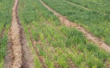 С������ʩ��ע�����(xi��ng)������С���Ϸ�؝��ķ���