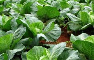 �@Щʩ���`�^(q��)��֪����������ʹ���`�^(q��)��P(p��n)�c(di��n)