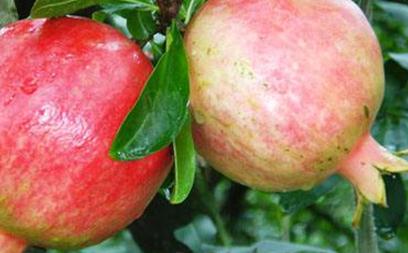 ��ʯ����ô���ࣿ����ʯ��ļ��gҪ�c