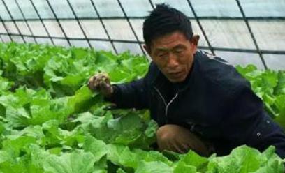 ������ʩ����Щ���c��������ʩ�Ĵ��c