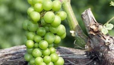 ��(d��ng)���֮�(d��ng)ˎ����߀���@���ã���