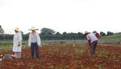 �������ʩ���ʣ�����ʩ���ʵĿƌW����